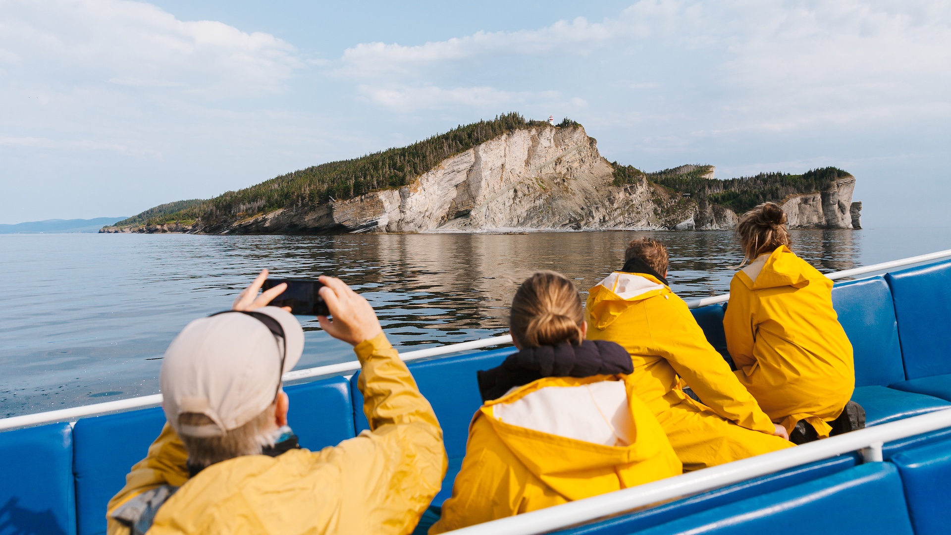 Whale-Watching Cruise in Forillon National Park