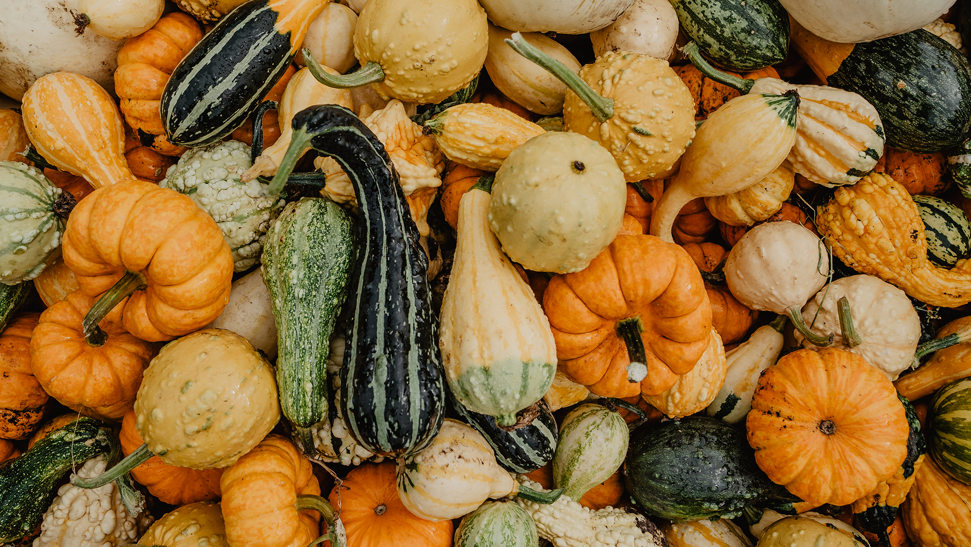 La Vallée de la Framboise - Économusée des liquoristes : framboise