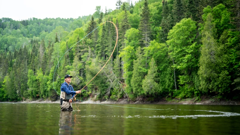 Source Riviere Main Matane en lumière Desjardins