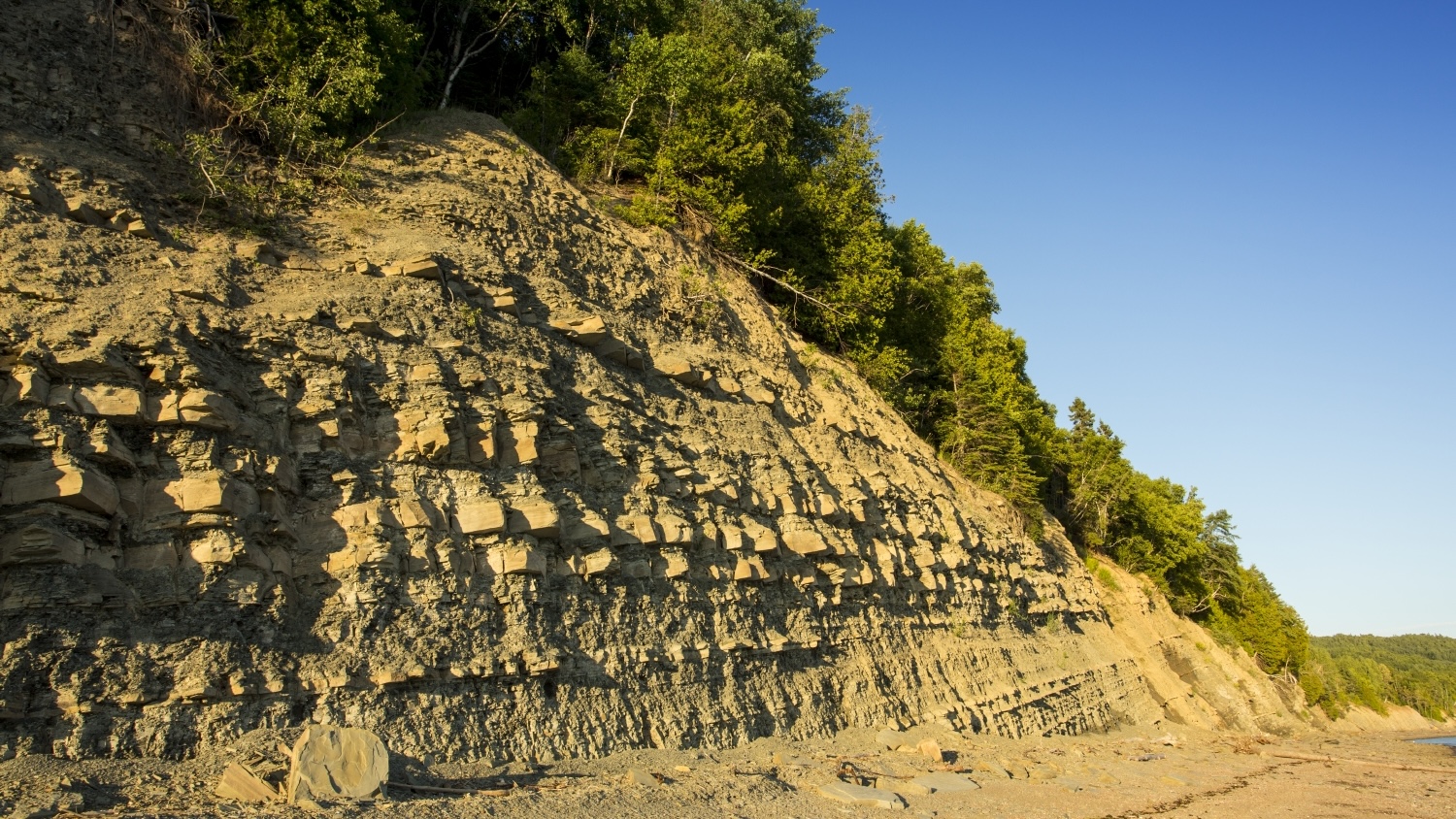 Falaise du Parc national de Miguasha 