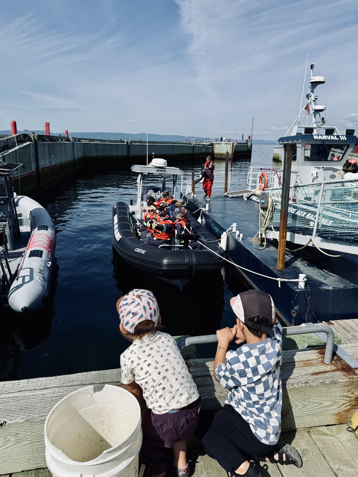 Croisière aux baleines au parc national Forillon
