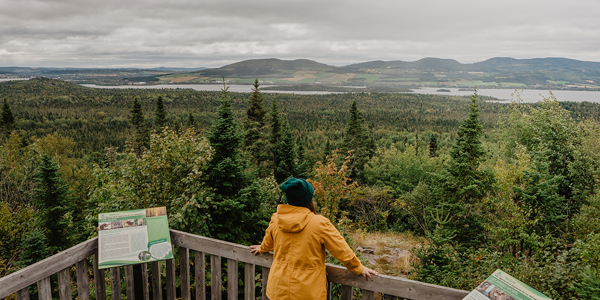 Parc régional du Lac-Matapédia