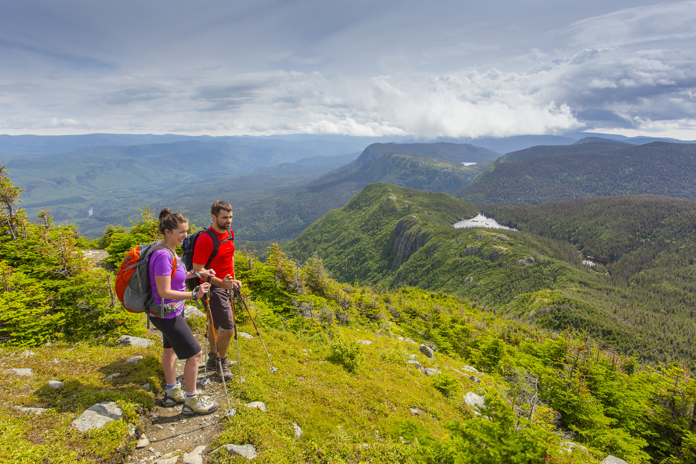 Pic de l'Aube, Parc national de la Gaspésie