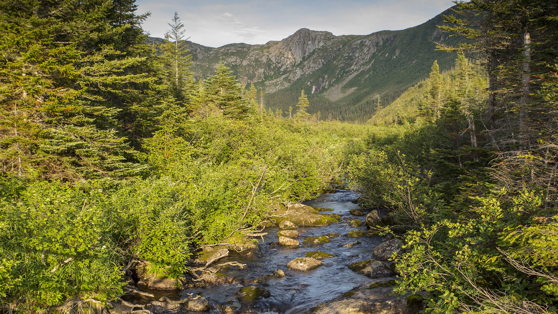 Rivière Sainte-Anne