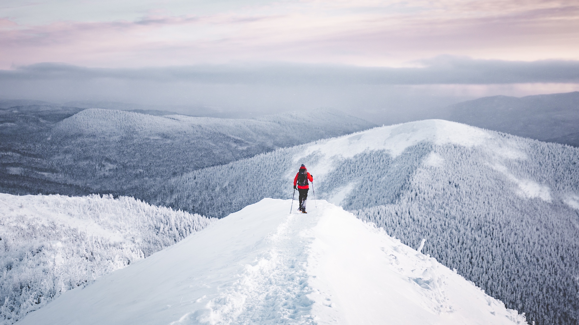 Raquette dans la Réserve faunique des Chic-Chocs