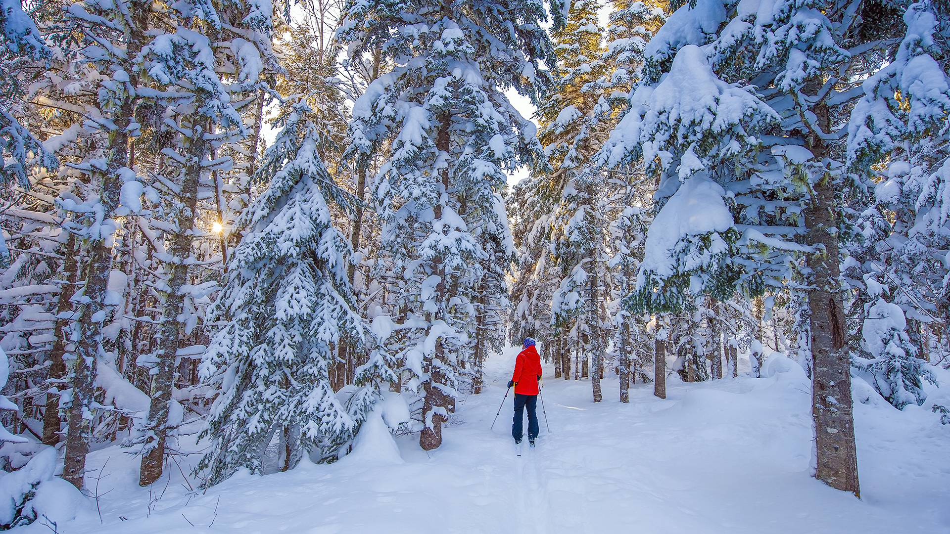 Village Grande Nature Chic-Chocs