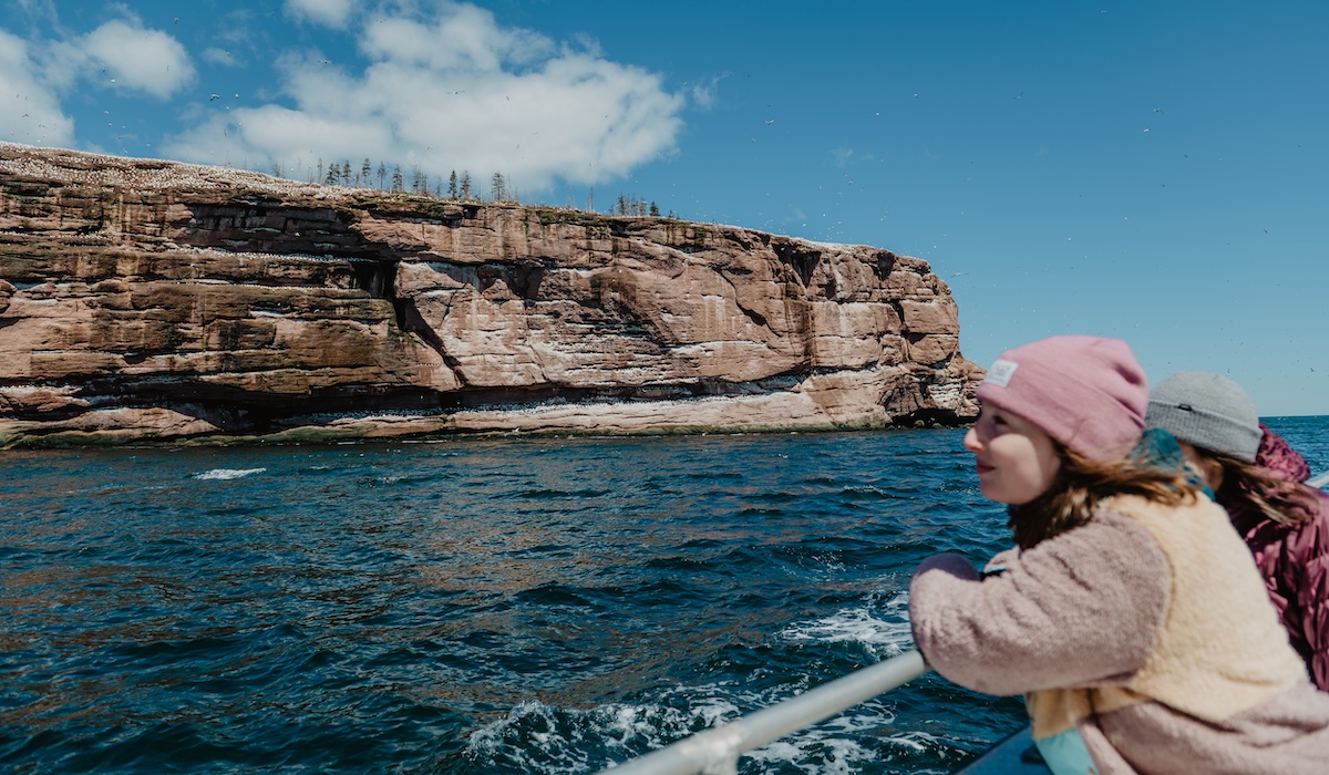 Croisière à l'île Bonaventure