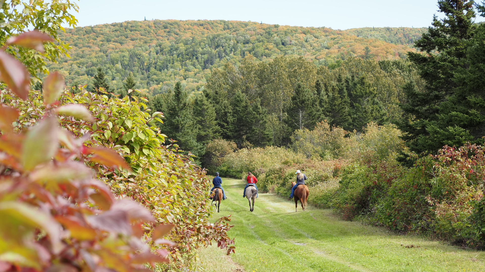Parc national Forillon