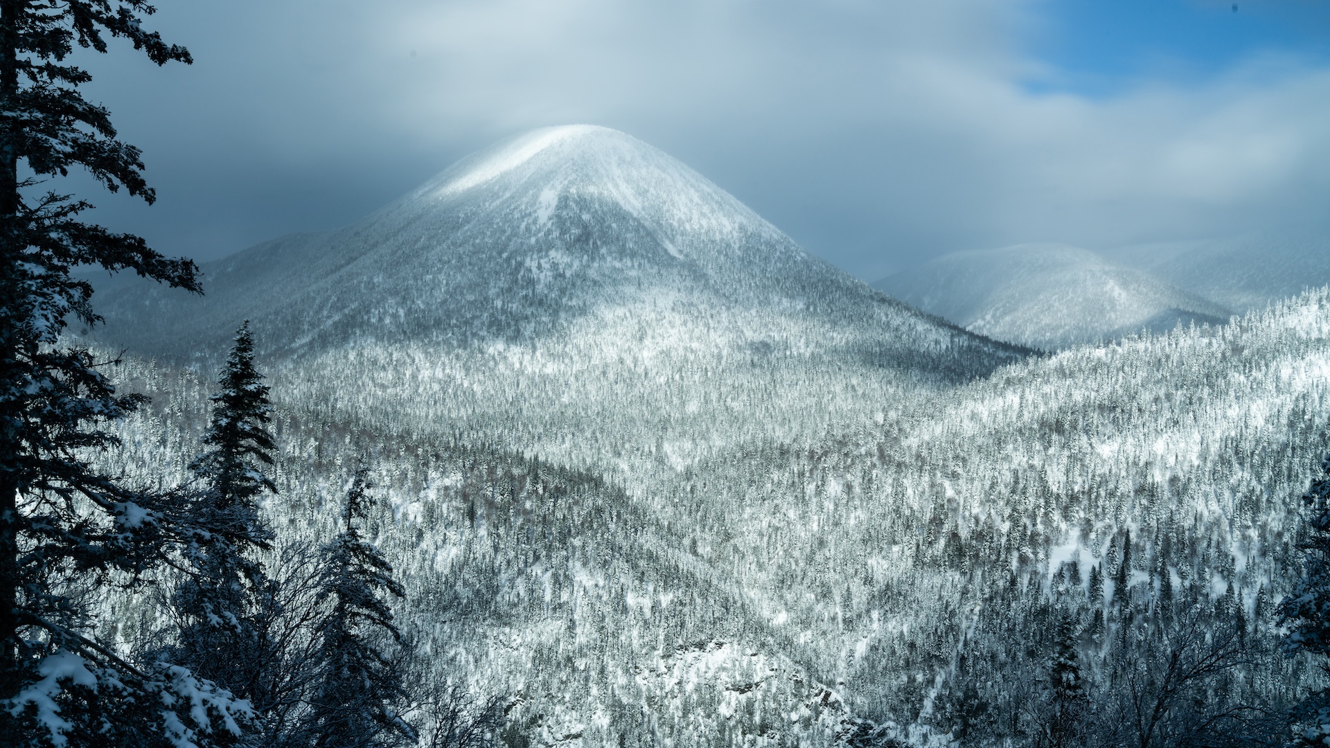 Réserve faunique de Matane