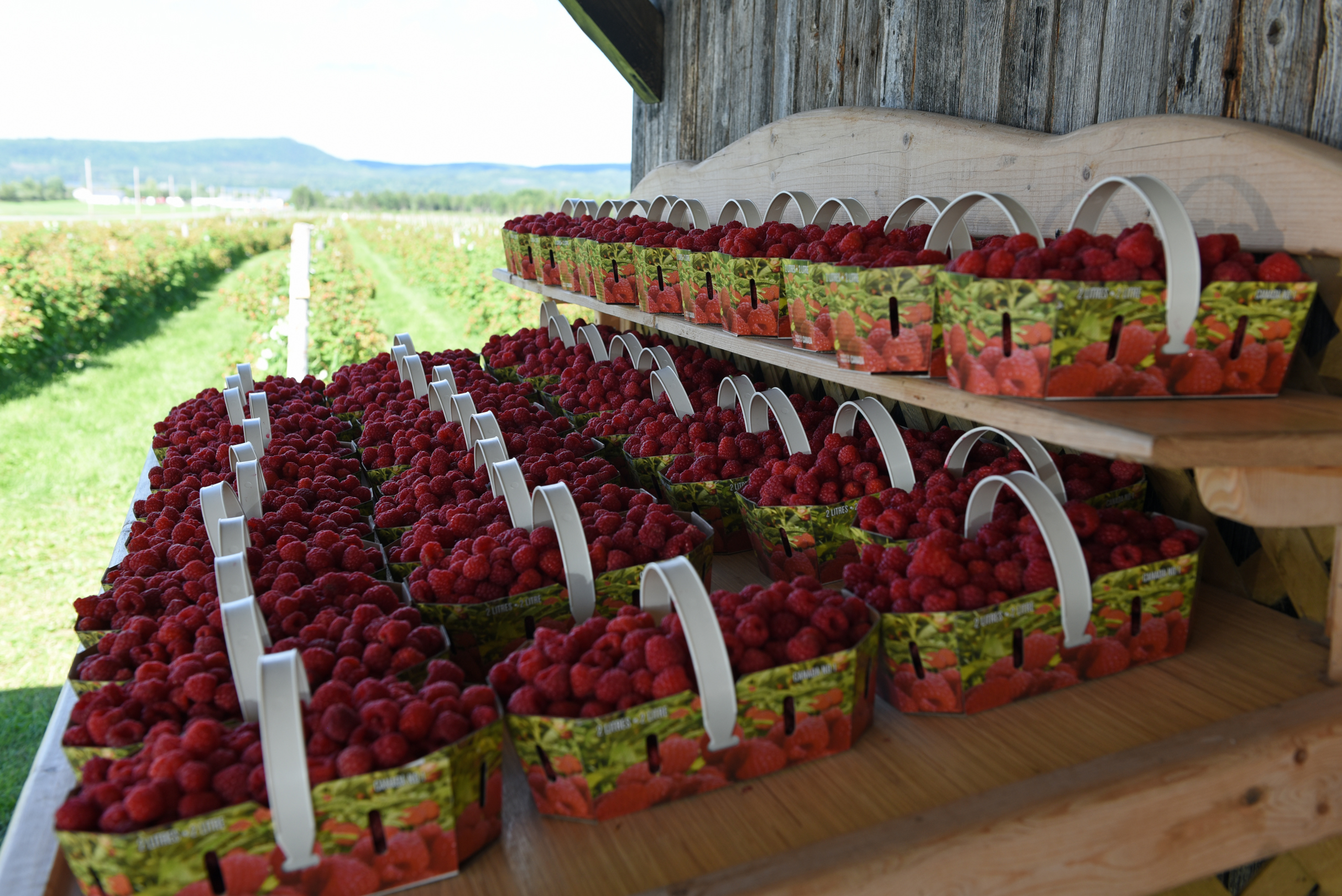 La Vallée de la Framboise - Économusée des liquoristes : framboise