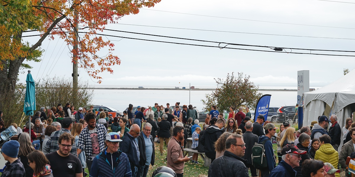 Festival La Virée Trad