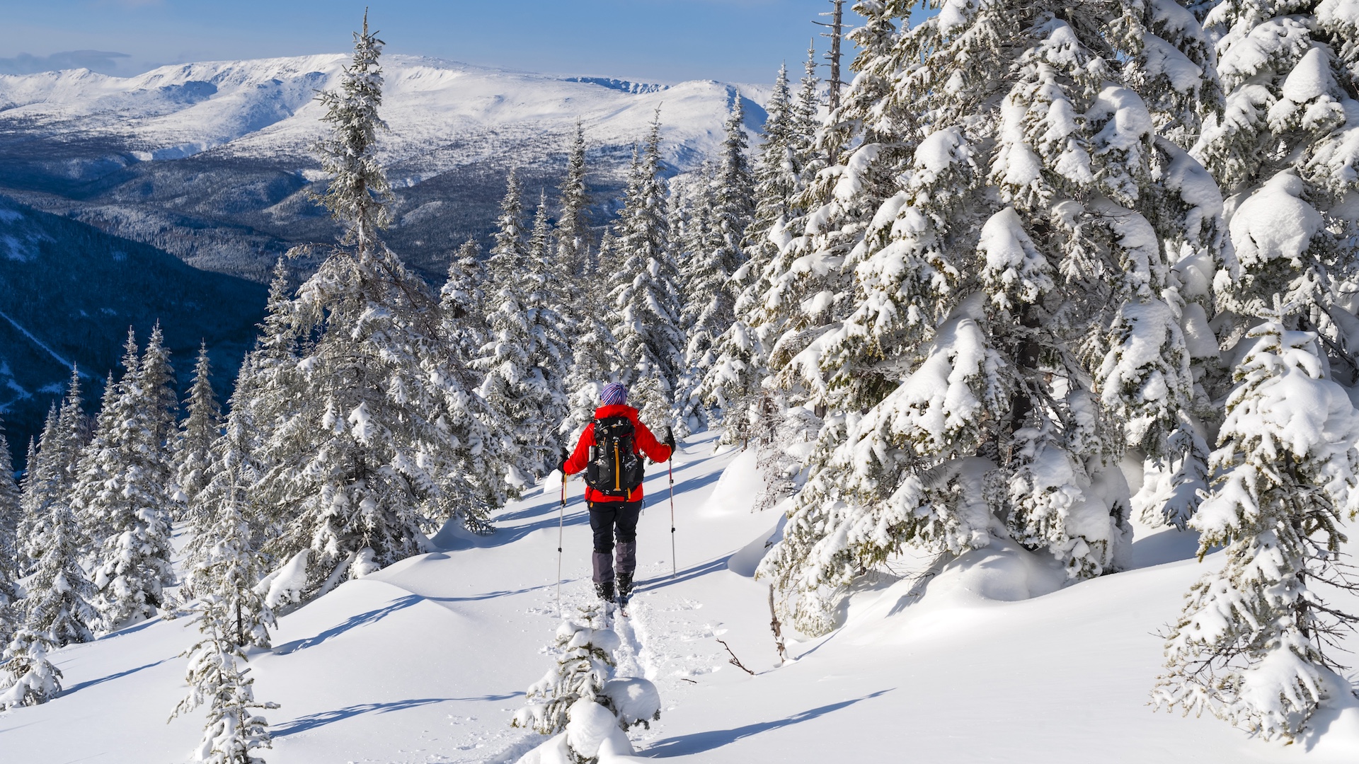Skiing in Chic-Chocs Wildlife Reserve