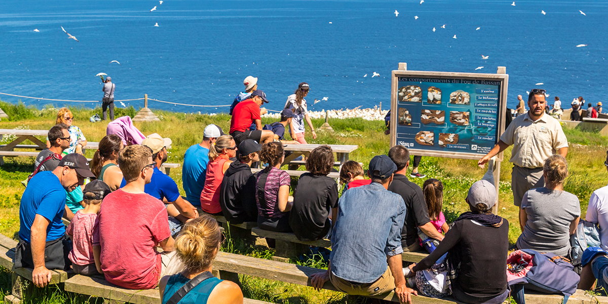 Parc national de l'Île-Bonaventure-et-du-Rocher-Percé