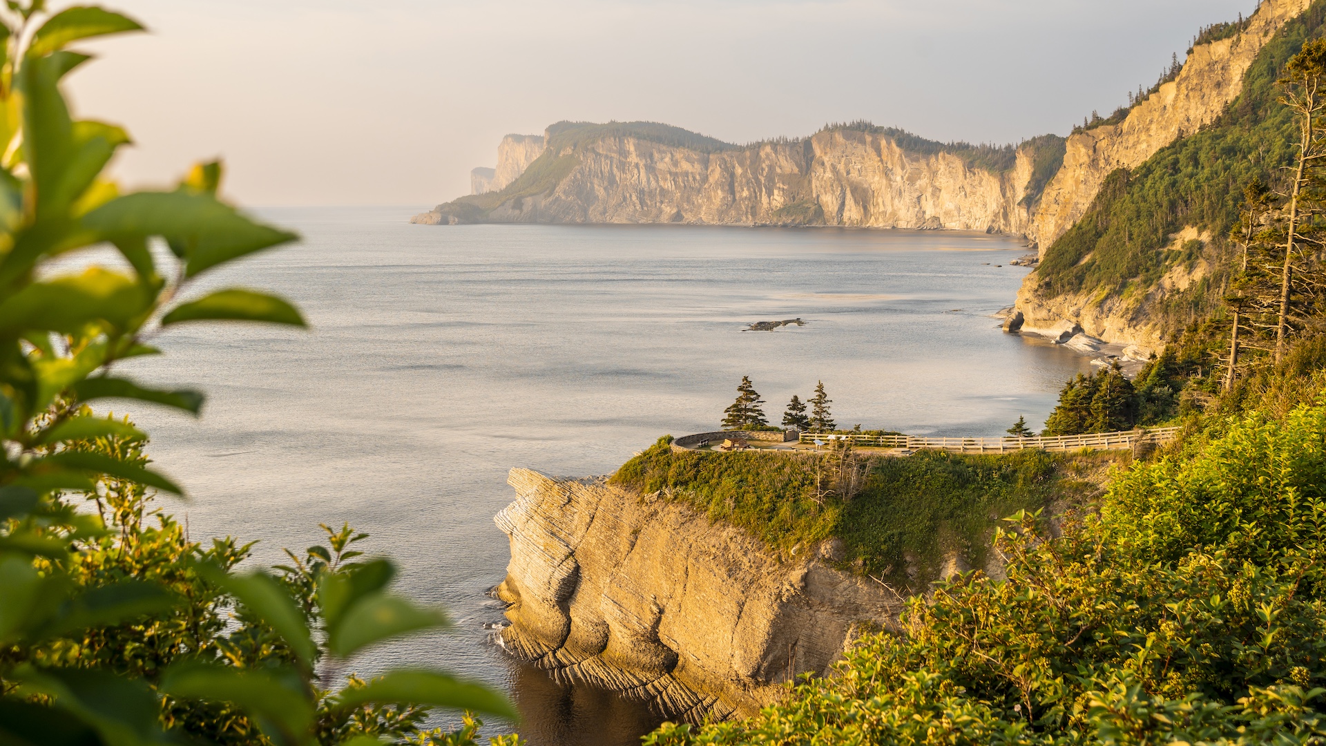 Cap-Bon-Ami, Forillon National Park