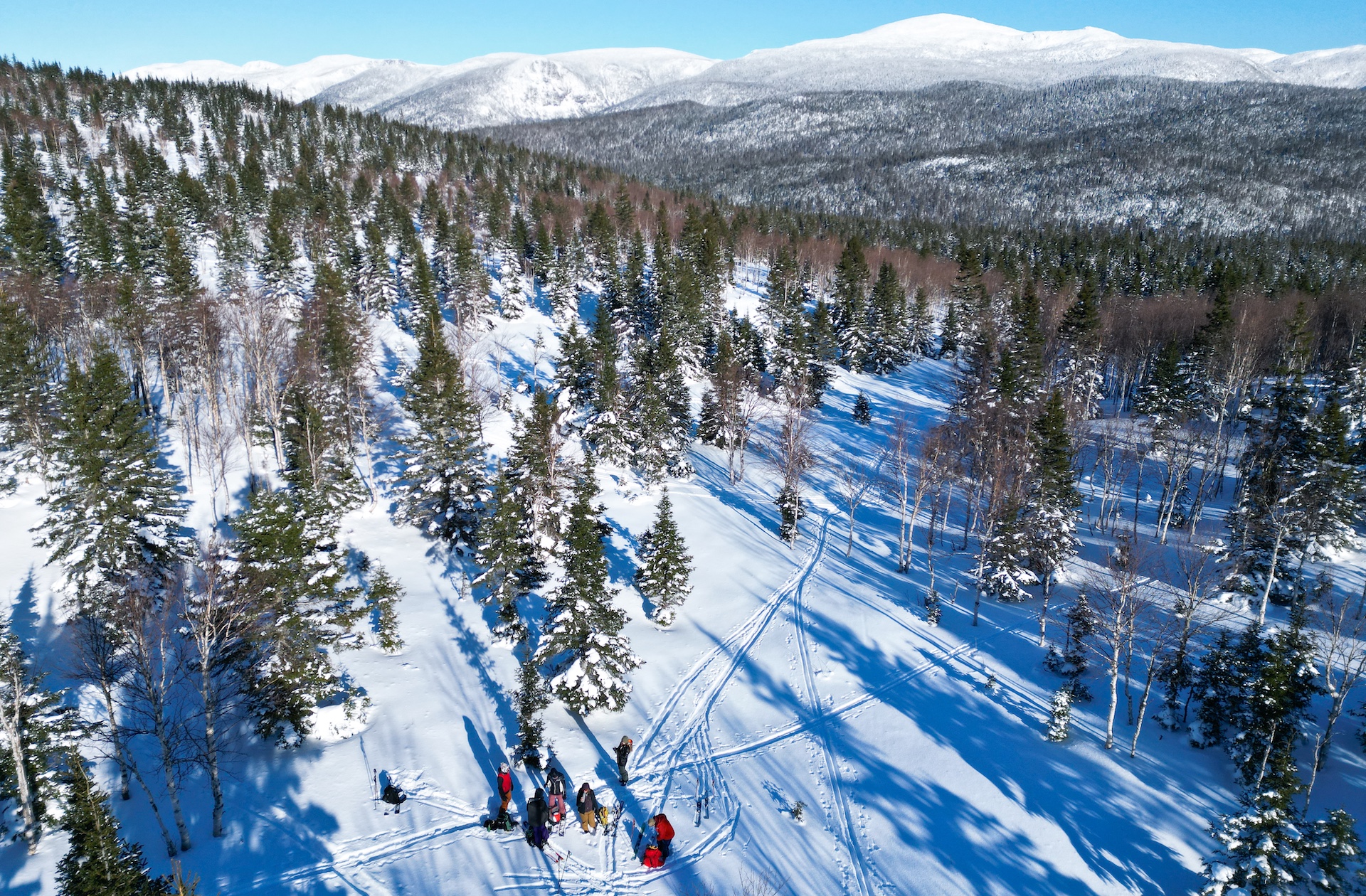 Mont Ernest-Laforce, Parc national de la Gaspésie