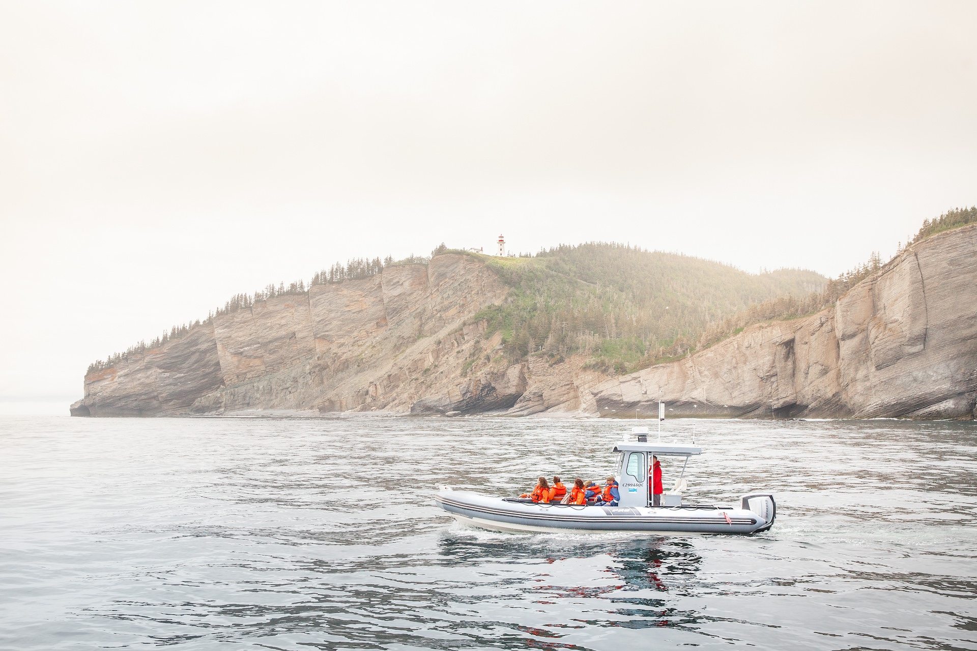 Whale Watching Cruise in Forillon National Park
