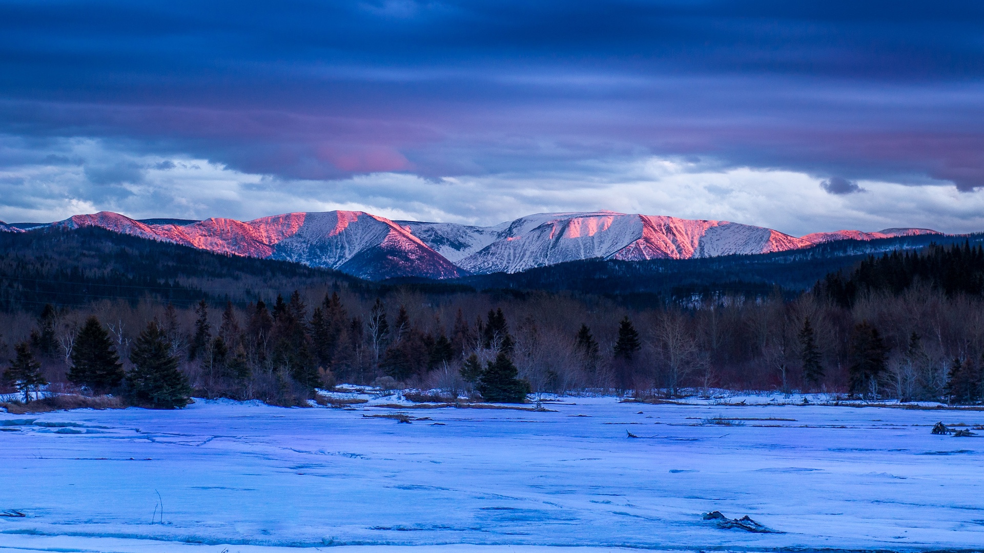Parc national de la Gaspésie